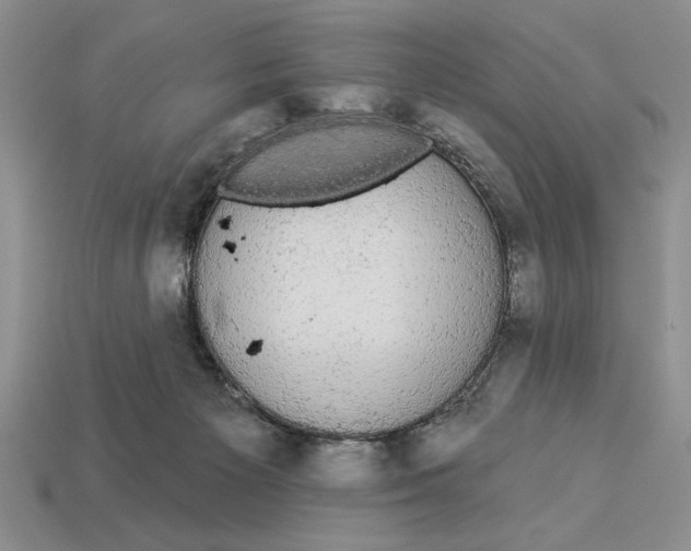 X0000112910125200909211039