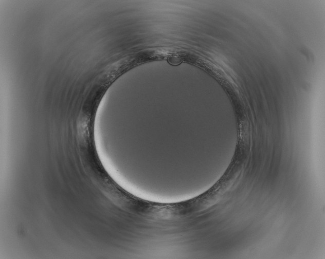 X0000112910127200909211039