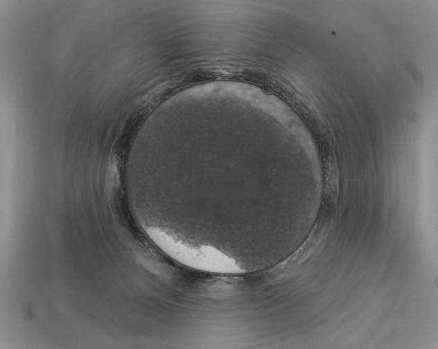 X0000112910128200909211039