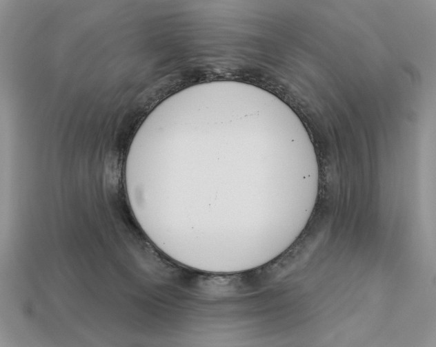 X0000112910129200909211039
