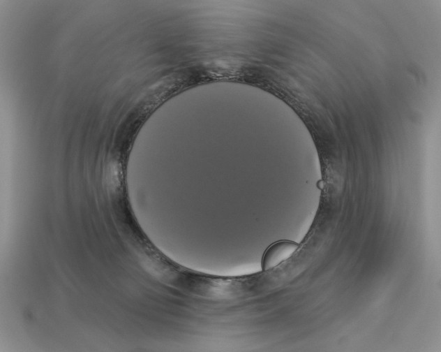 X0000112910130200909211039