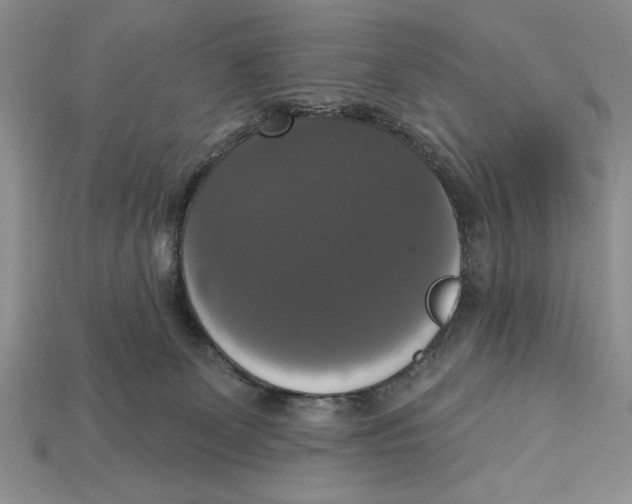 X0000112910131200909211039