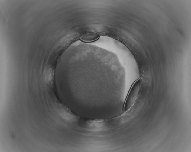 X0000112910132200909211039