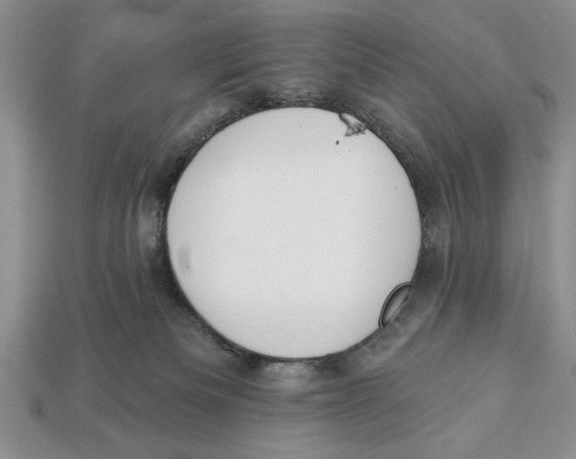 X0000112910133200909211039