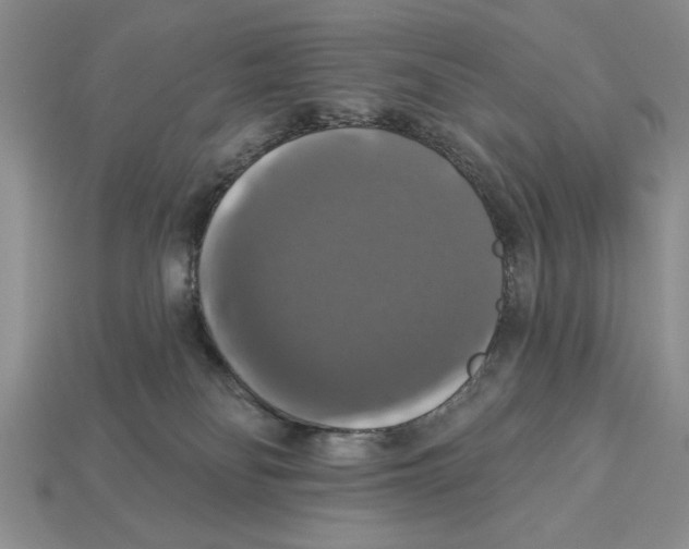 X0000112910134200909211039