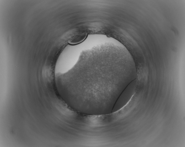 X0000112910136200909211039