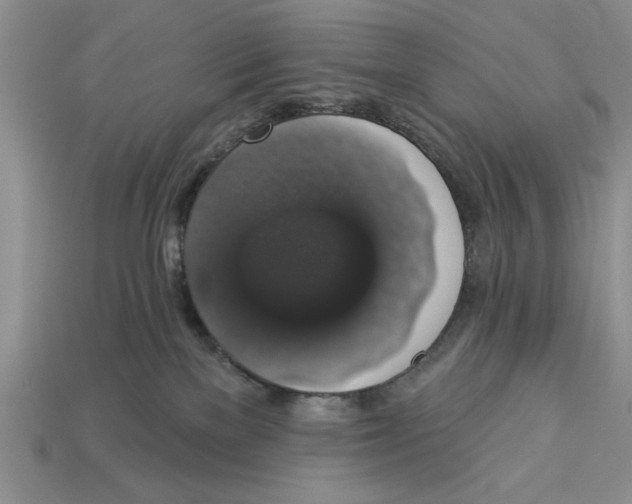 X0000112910137200909211039
