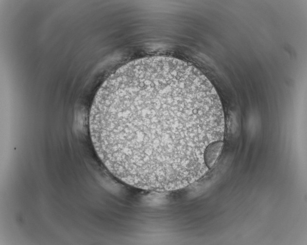X0000112910138200909211039