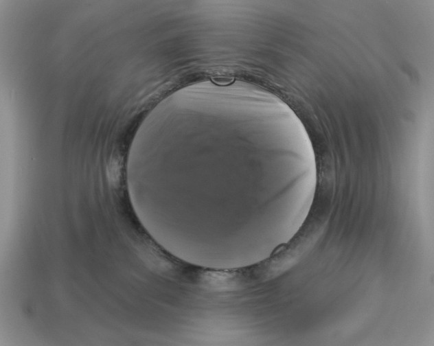X0000112910139200909211039