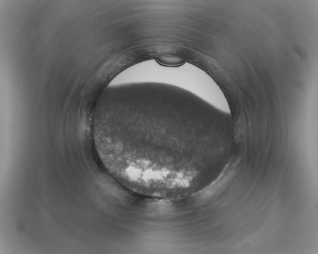 X0000112910140200909211039