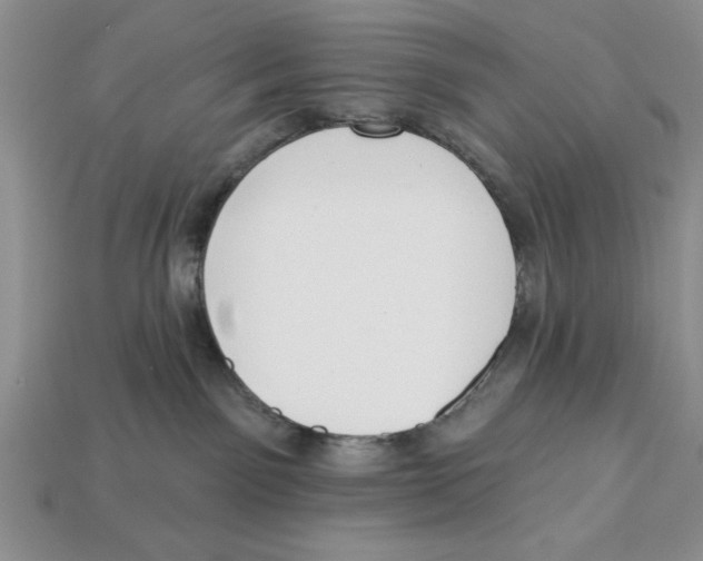 X0000112910141200909211039