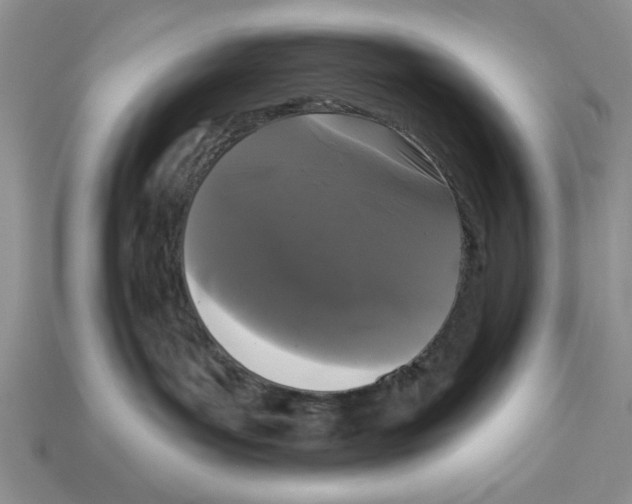 X0000112910143200909211039