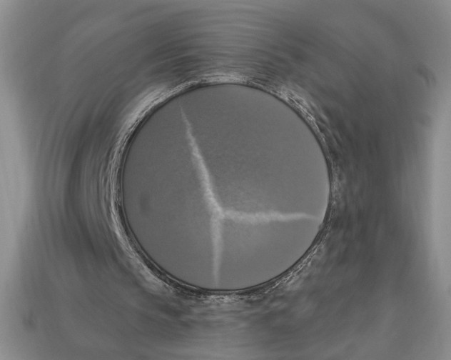 X0000112910145200909211039