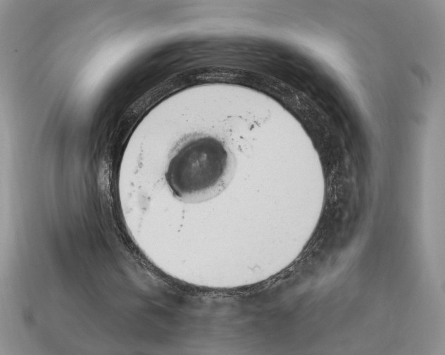 X0000112910146200909211039
