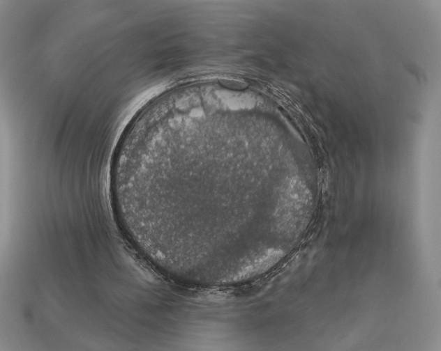 X0000112910148200909211039