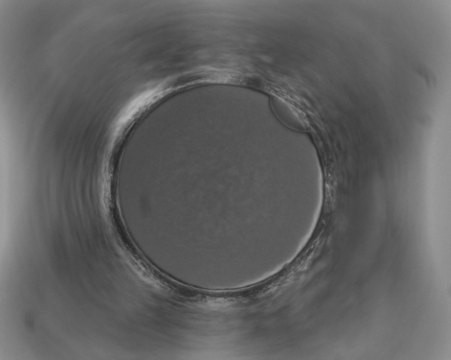 X0000112910149200909211039