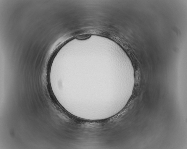 X0000112910150200909211039
