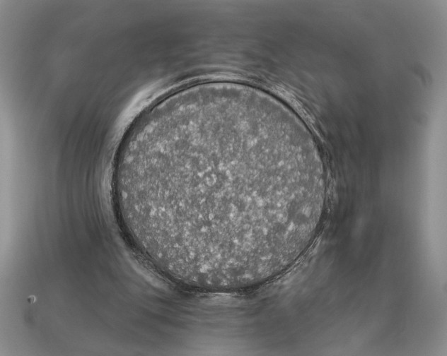 X0000112910151200909211039