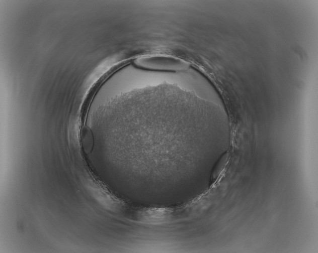 X0000112910152200909211039
