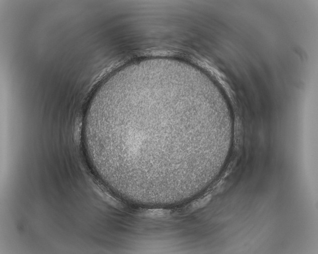 X0000112910153200909211039