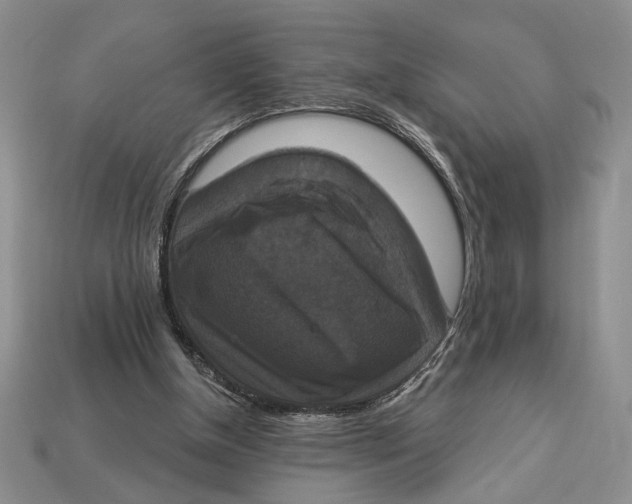 X0000112910154200909211039