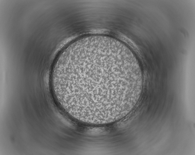 X0000112910155200909211039