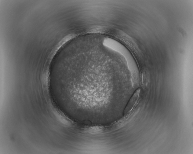 X0000112910156200909211039