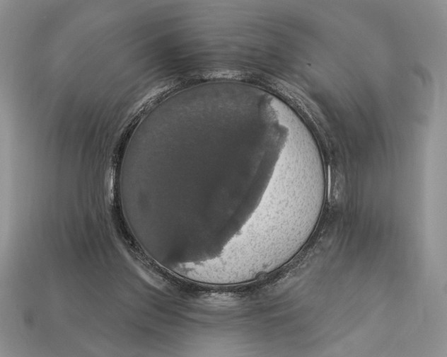X0000112910157200909211039