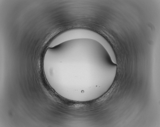 X0000112910158200909211039