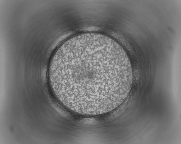X0000112910159200909211039