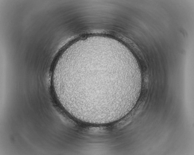 X0000112910160200909211039