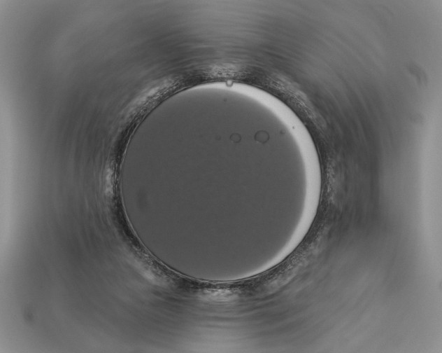 X0000112910161200909211039