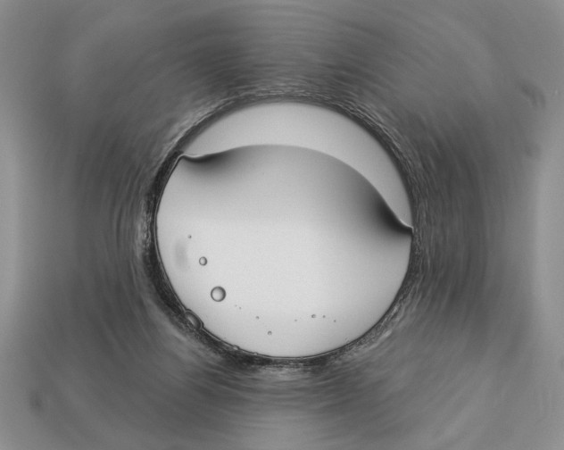 X0000112910164200909211039