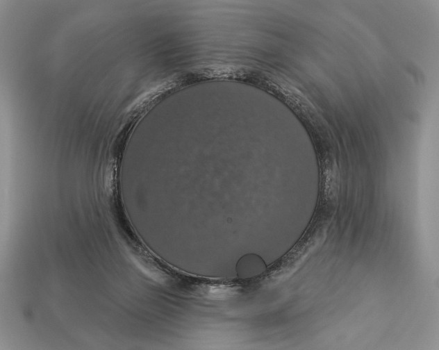 X0000112910165200909211039