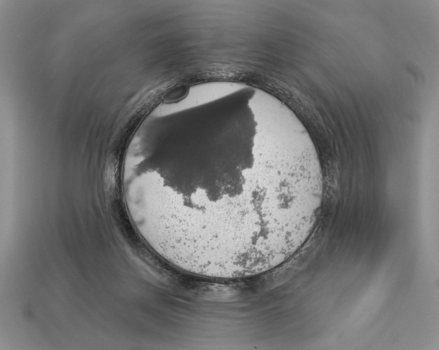 X0000112910166200909211039
