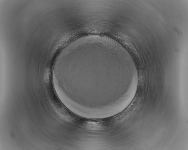 X0000112910167200909211039