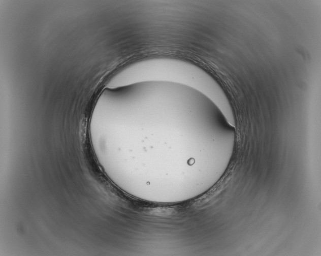 X0000112910168200909211039