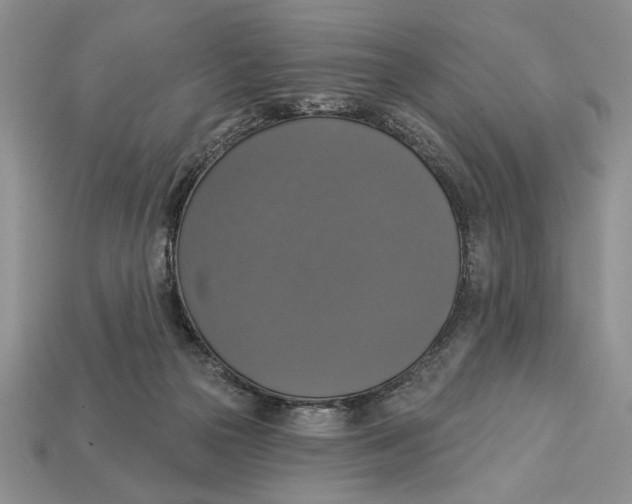 X0000112910169200909211039