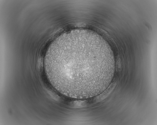 X0000112910172200909211039