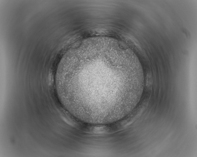 X0000112910173200909211039