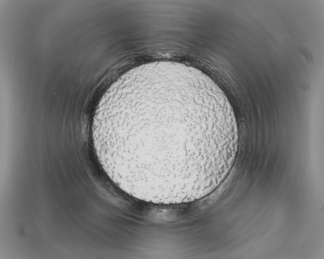 X0000112910174200909211039