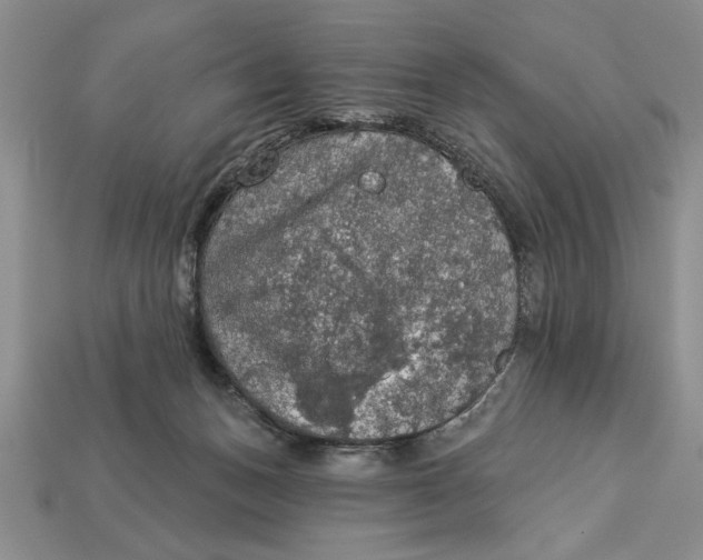 X0000112910175200909211039