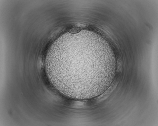 X0000112910176200909211039
