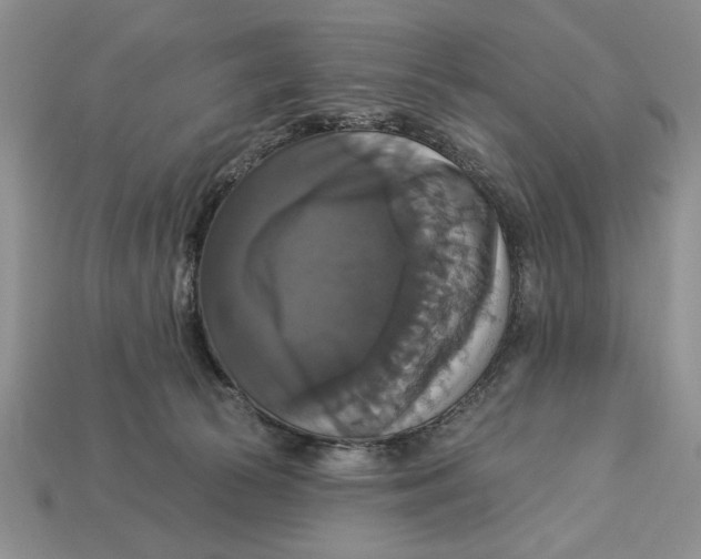X0000112910177200909211039