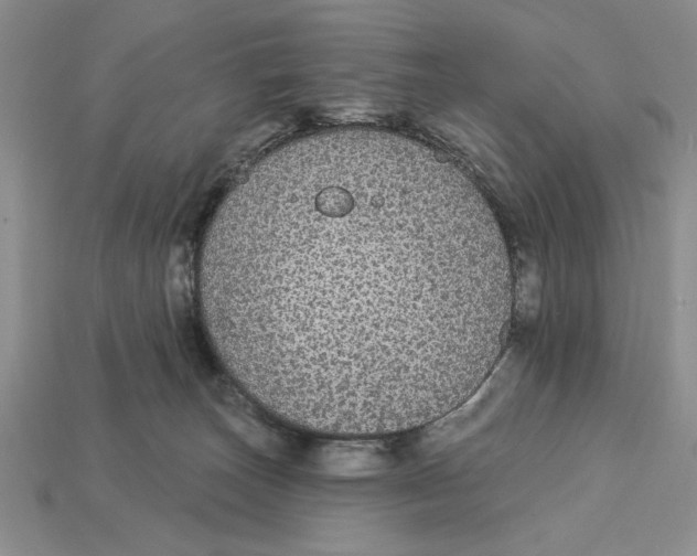 X0000112910179200909211039