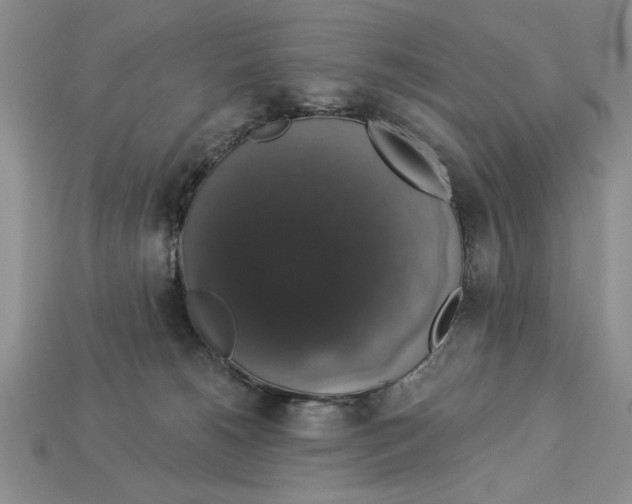 X0000112910180200909211039