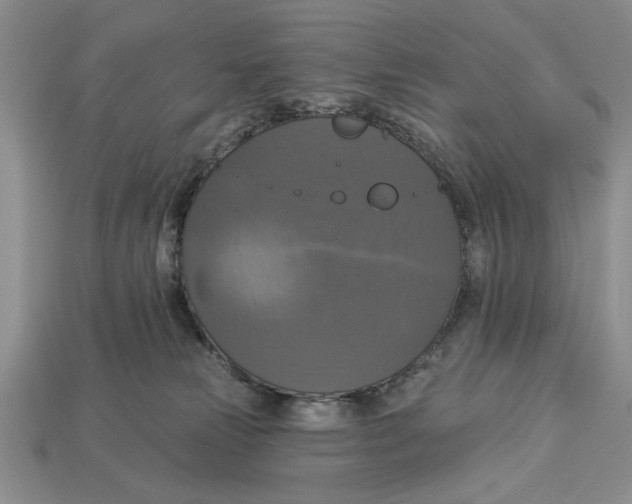 X0000112910181200909211039