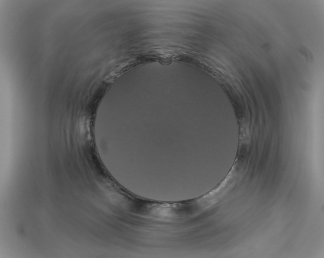 X0000112910182200909211039