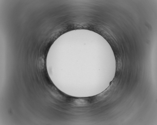 X0000112910183200909211039