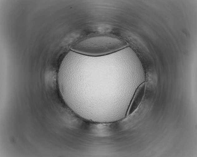 X0000112910184200909211039